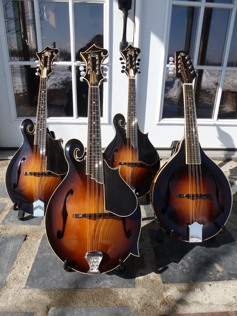 Mandolins.JPG