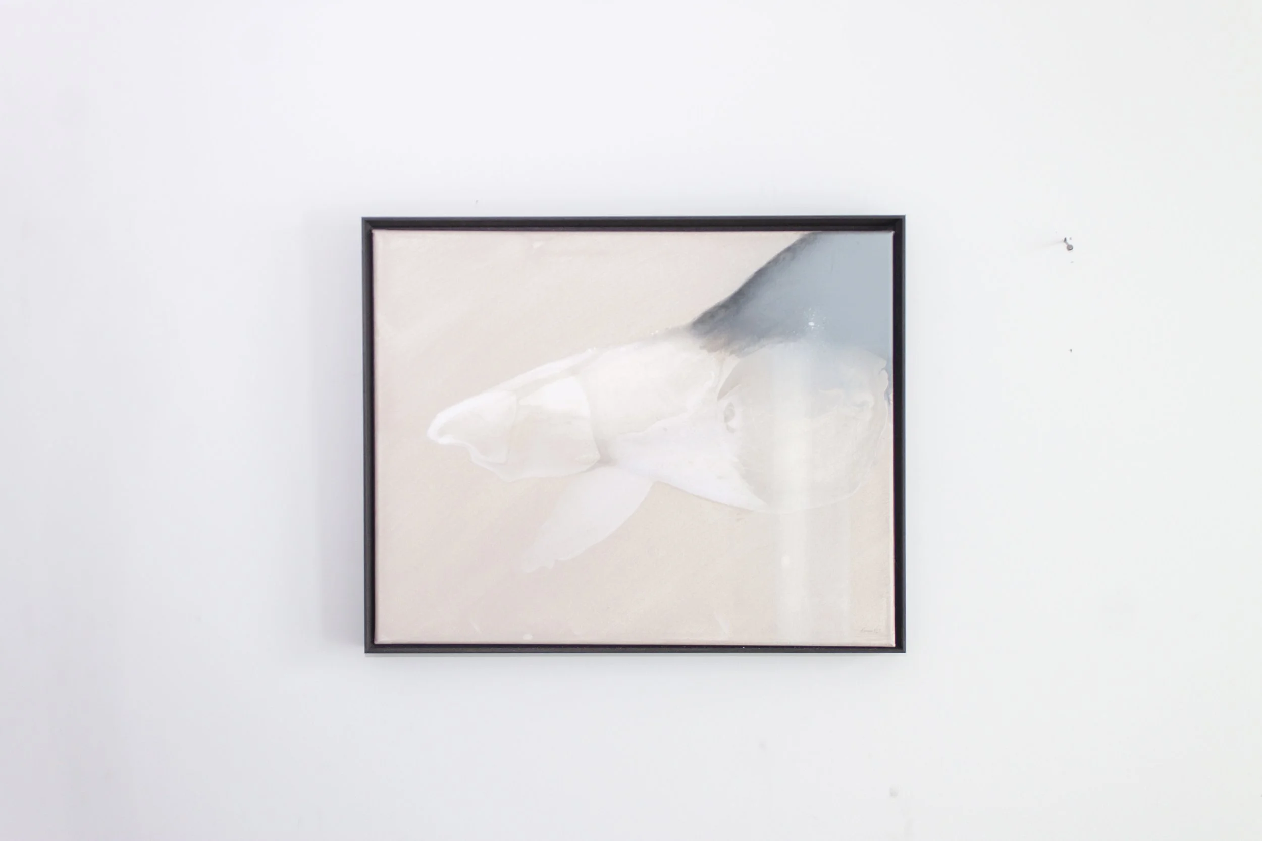 📍 British Columbia, Canada 