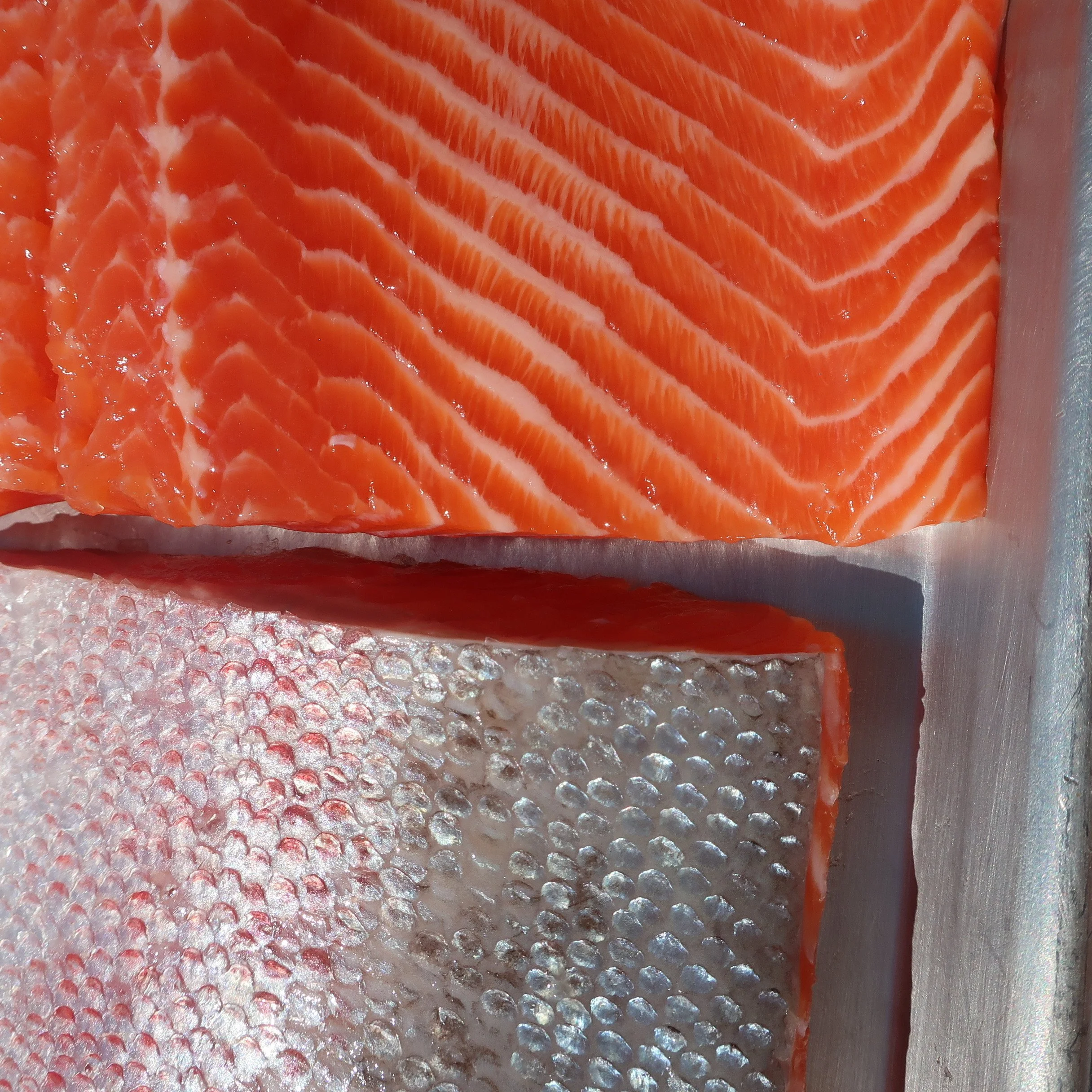 HOW TO COOK FISH — FEARLESS FISH MARKET