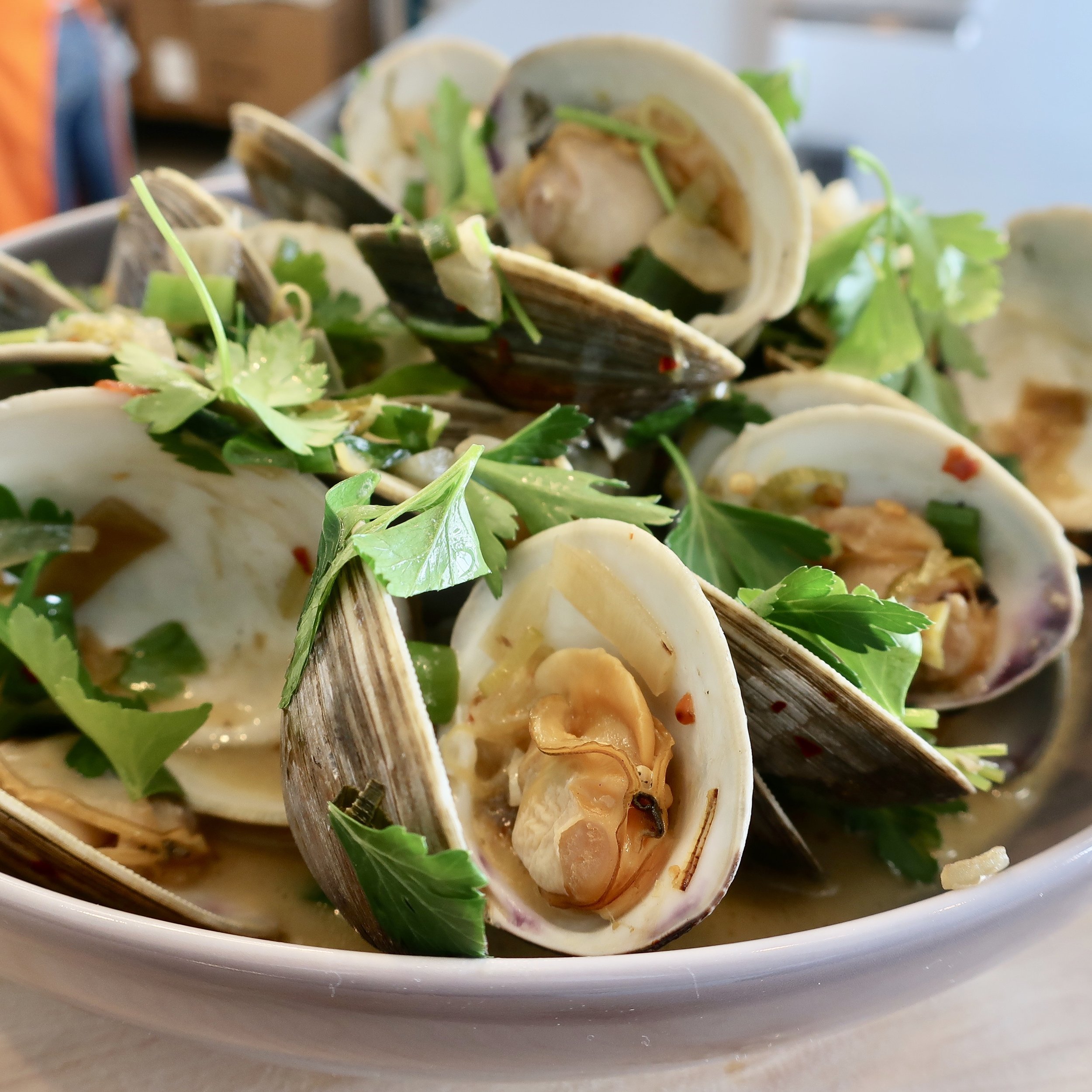 hot clams with arugula.JPG