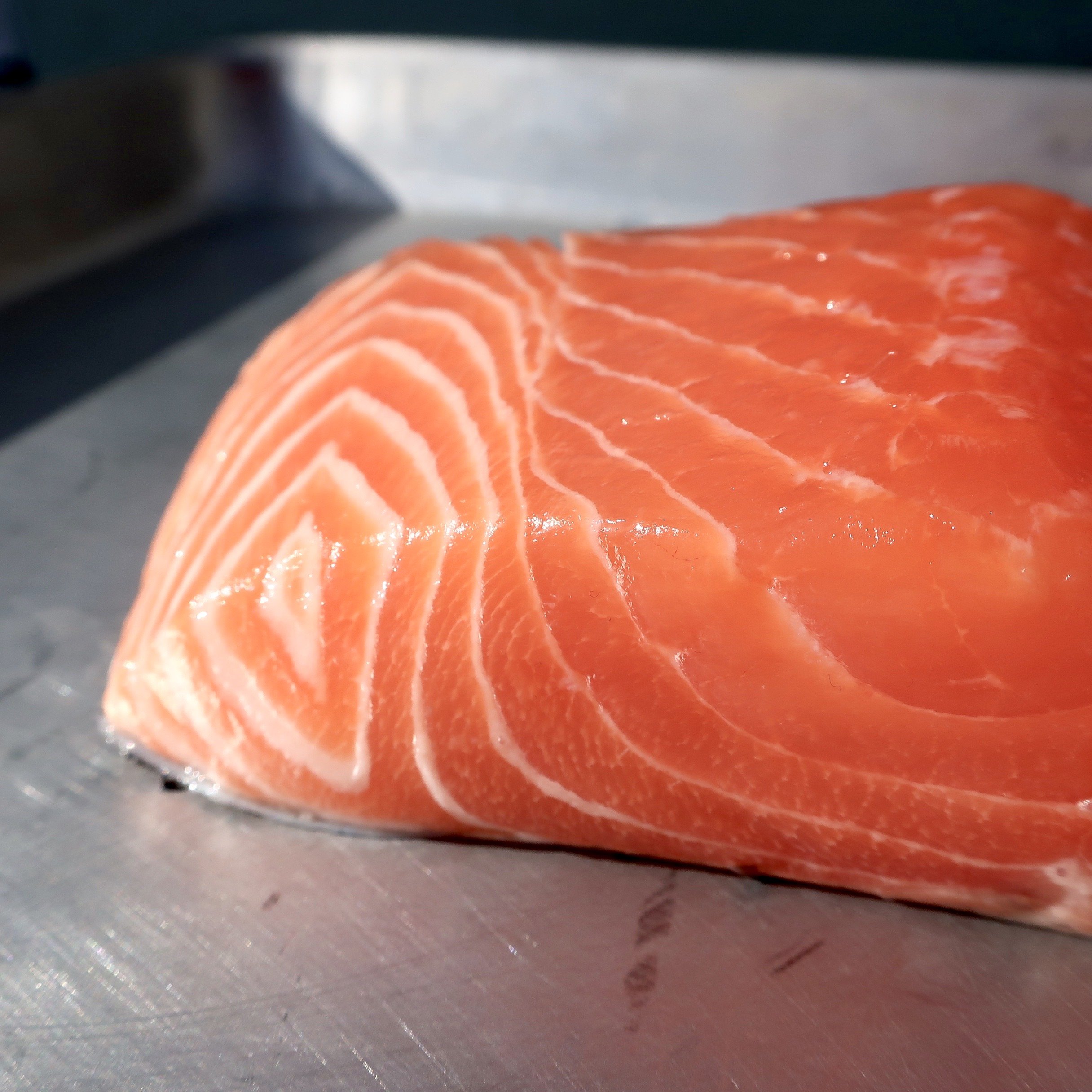 fresh salmon fillet.JPG