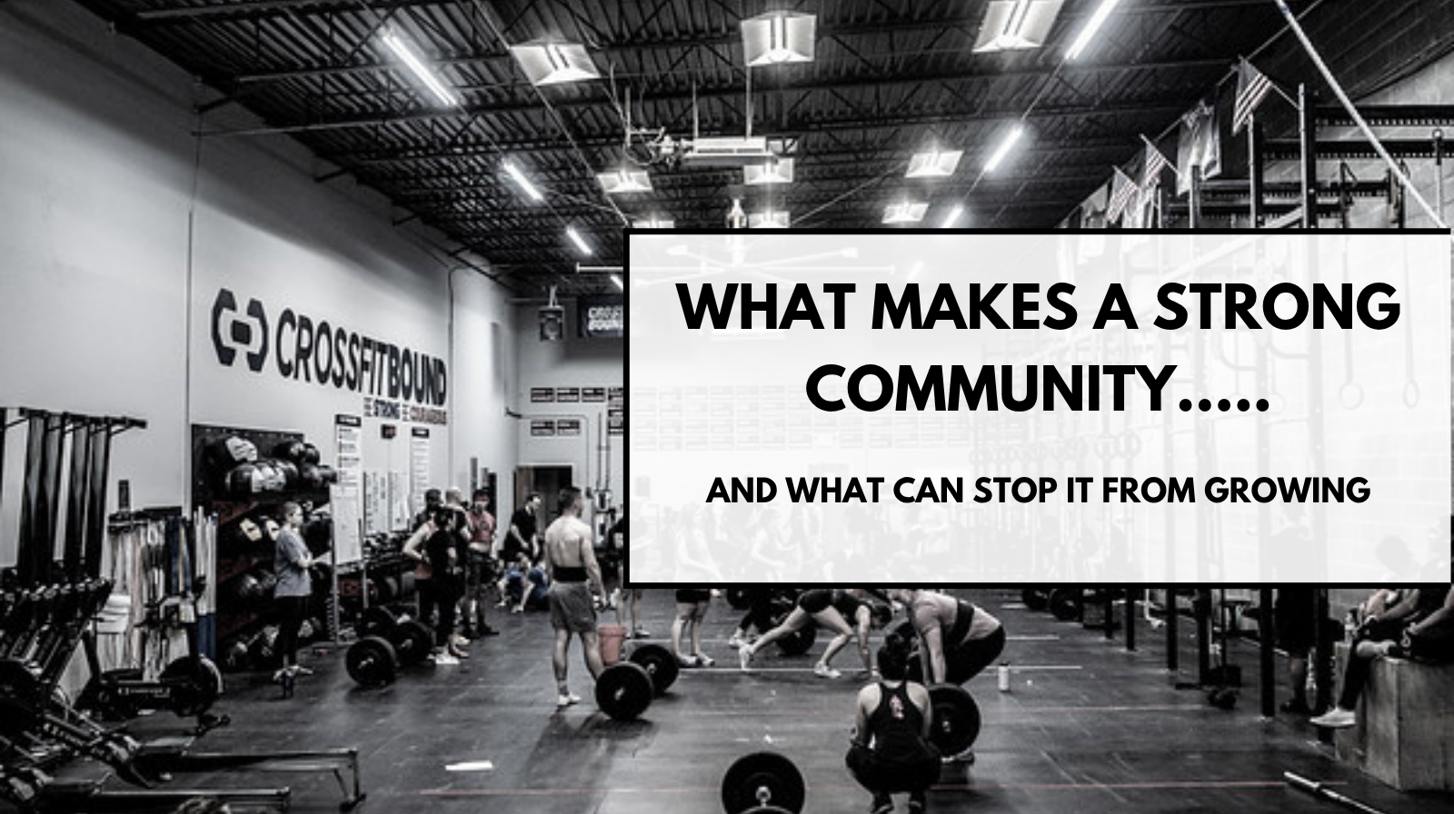 Bound Newsletter 11.10.2025 