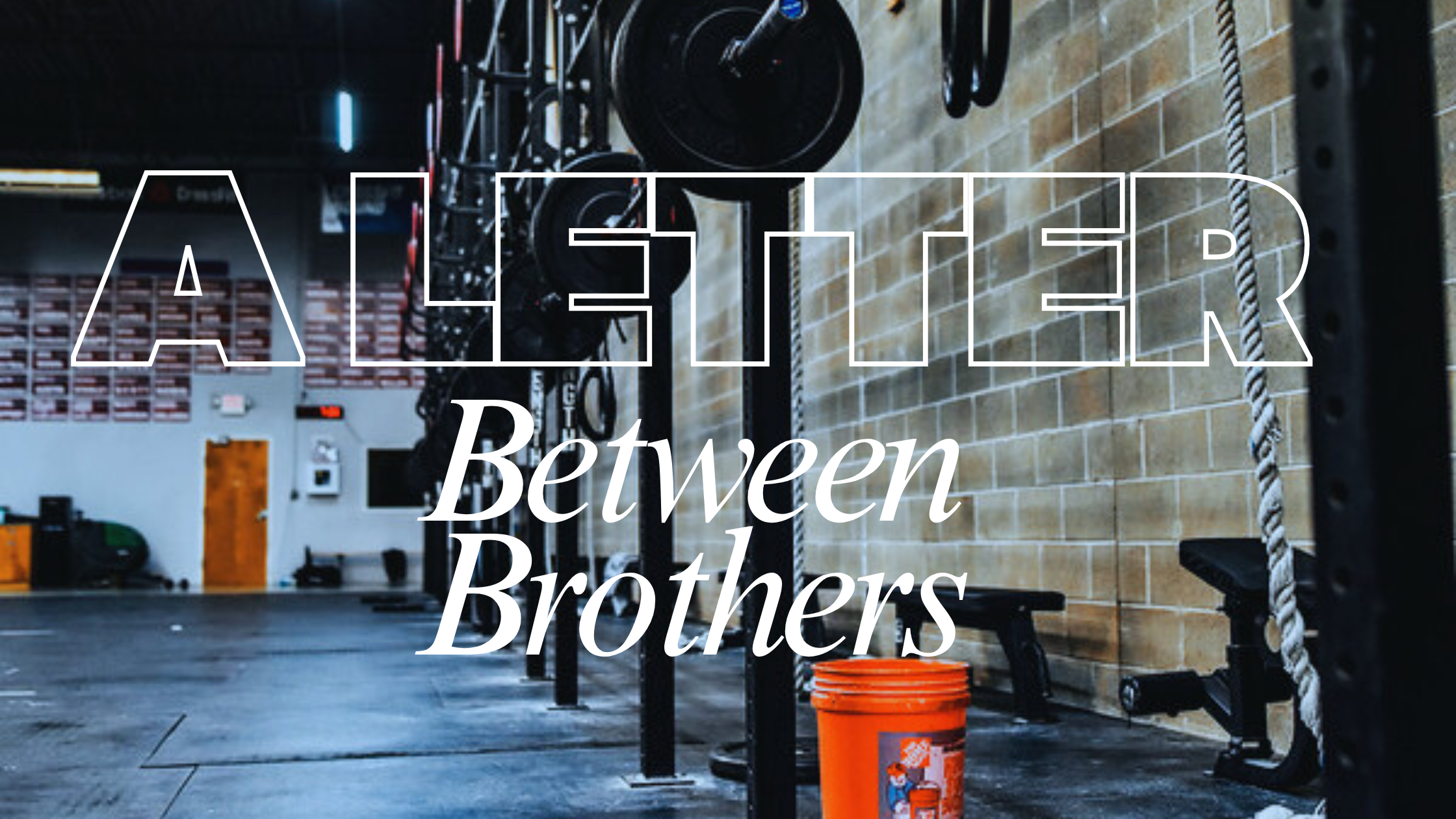 Bound Newsletter 1.11.2026 