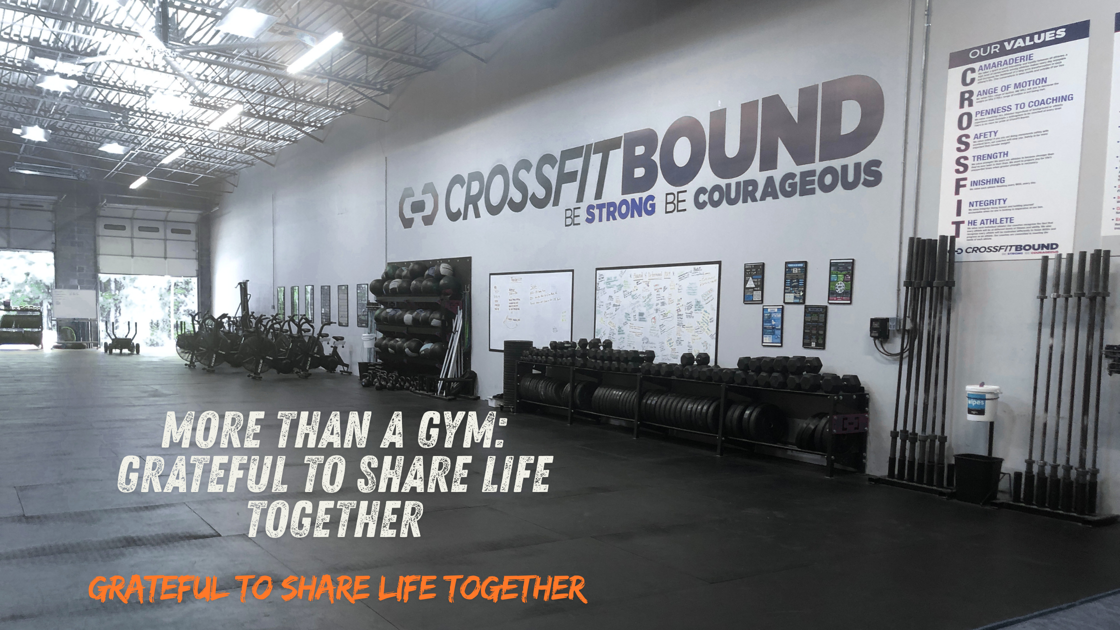 Bound Newsletter 6.28.2026
