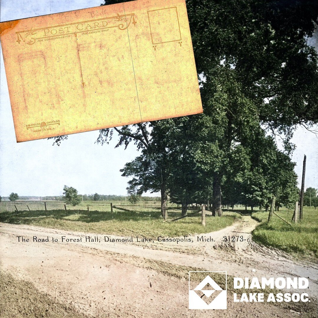 💠 Colorized and AI enhanced postcard image entitled, &quot;The Road to Forest Hall, Diamond Lake, Mich.&quot;
🔹 A glimpse back in time...
.
#DiamondLake #DiamondLakeAssociation #DLA #DiamondLakeSandbar #Michigan #Cassopolis