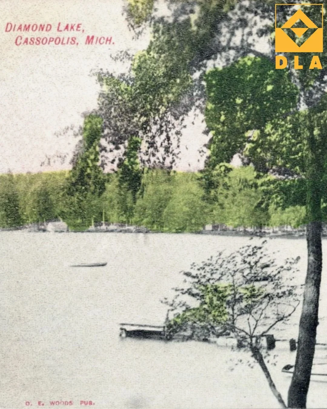 Does anyone recognize where this gorgeous photo was taken? 🌳

 #DiamondLake #DiamondLakeAssociation #DLA #DiamondLakeSandbar #Michigan #Cassopolis