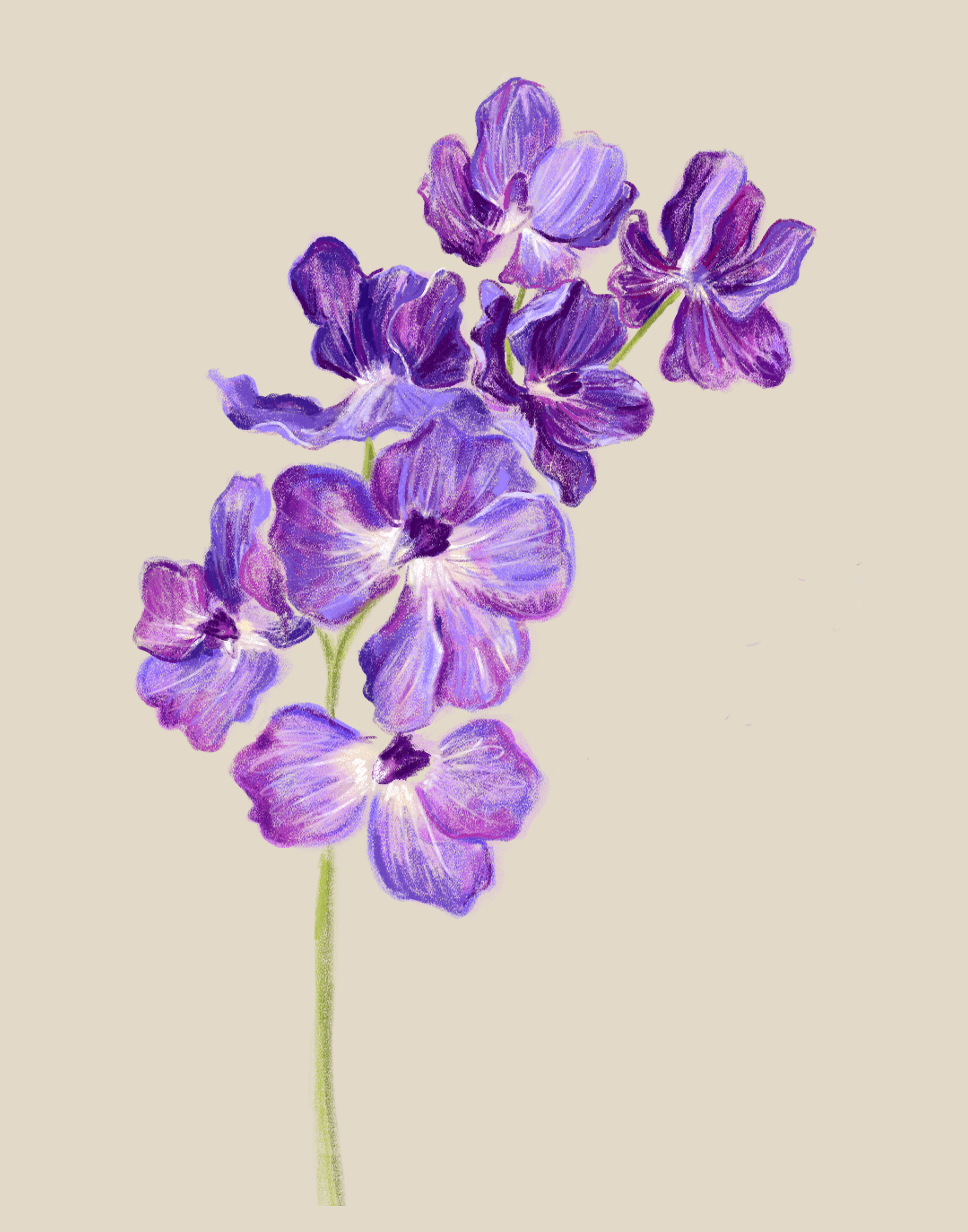 11x14_Violet.png