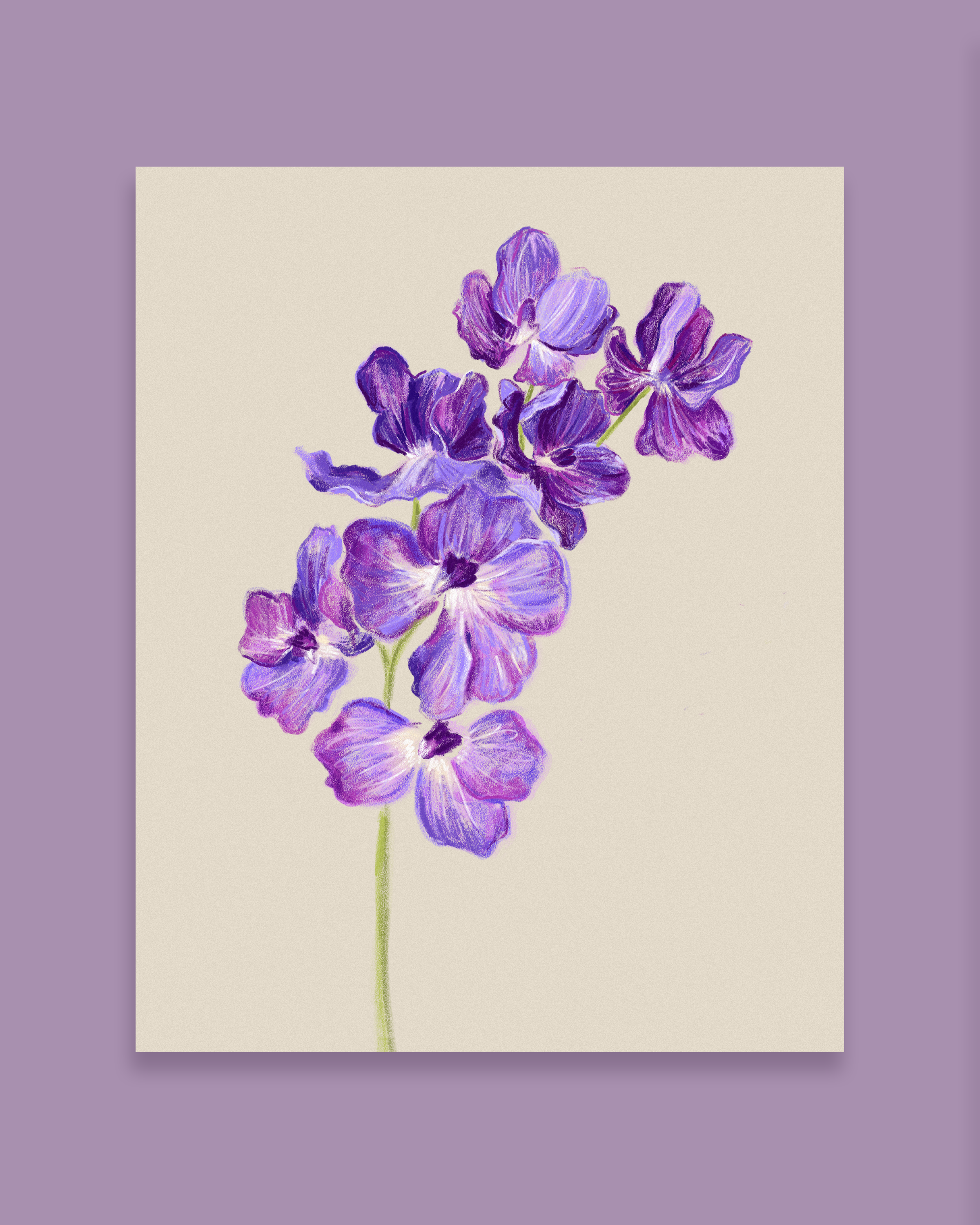 8x10_Violetz.png