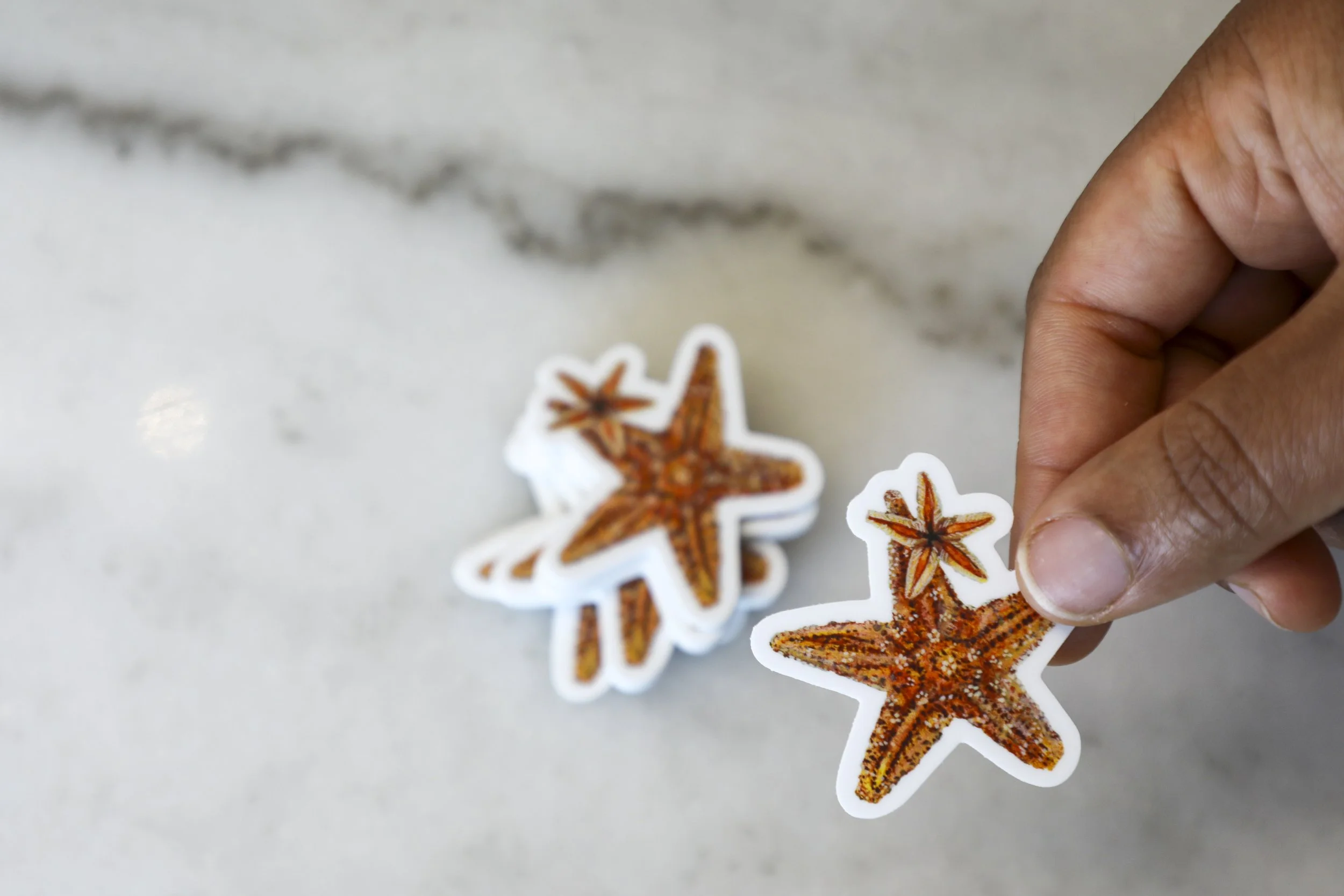 "Radiant Stillness" STICKER