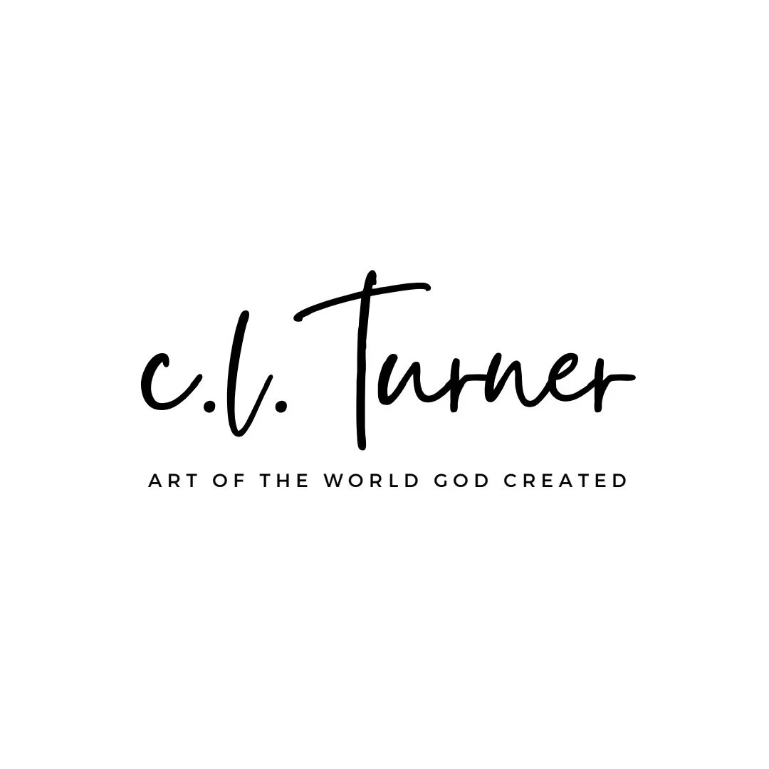 Courtney Lawless Turner Art