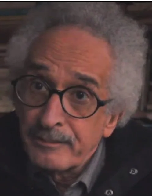 Chronophagy and Confetti: Reading Sonallah Ibrahim