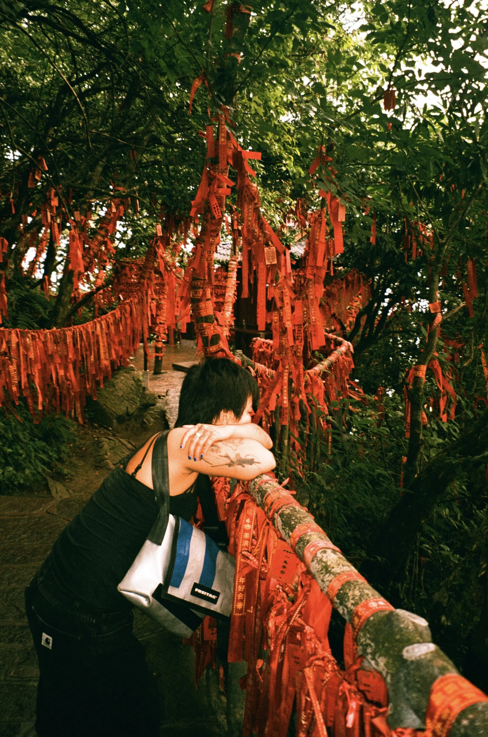 Film Camera Addict - Lucky C200 Film