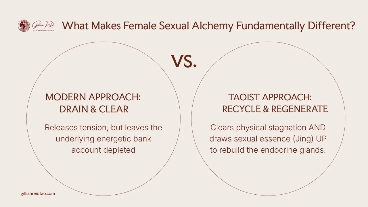 modern vs taoist approach to longevity and energy