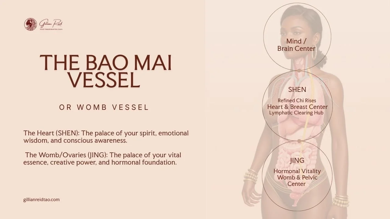 bao vessel gillian reid tao