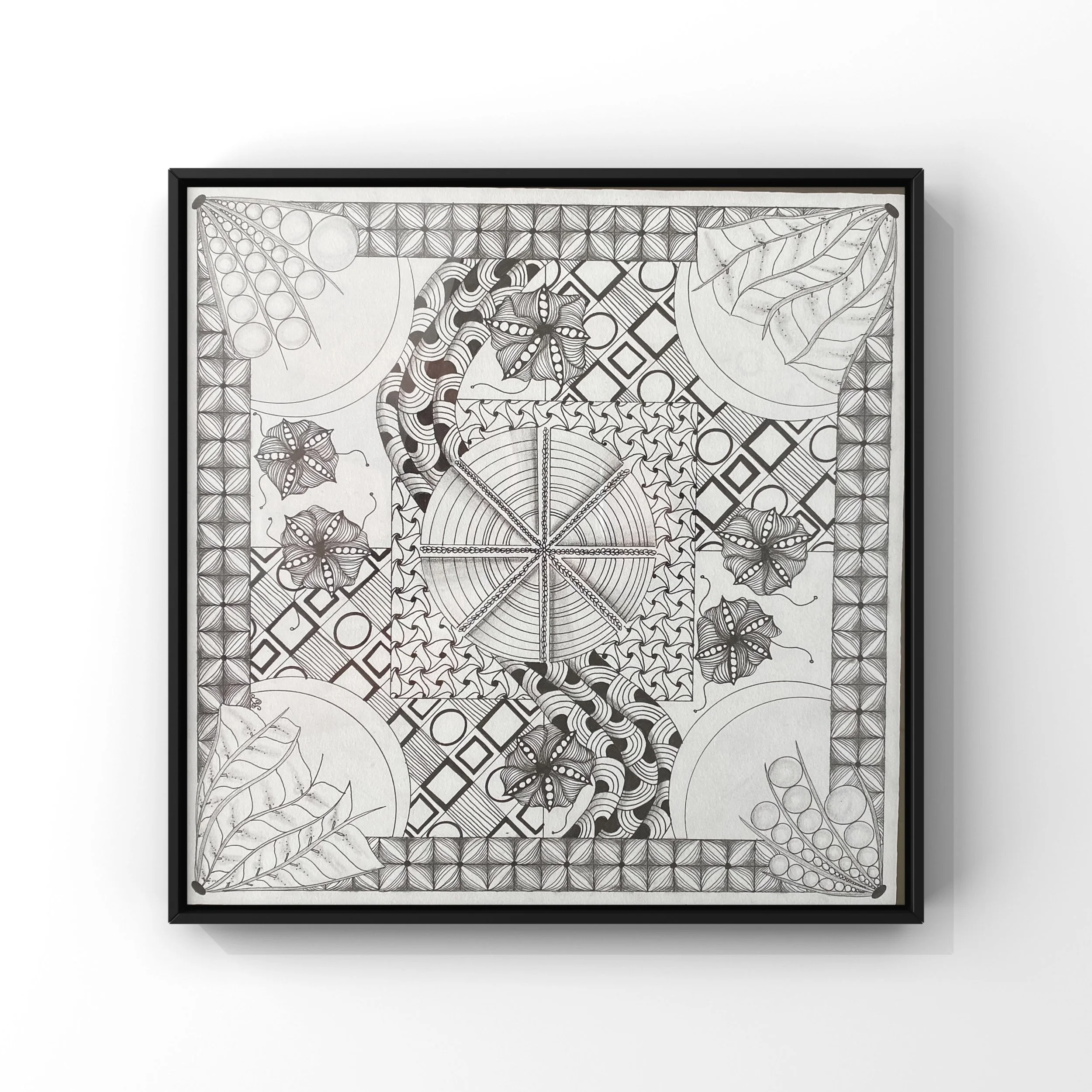 Chaos and Order. Life.