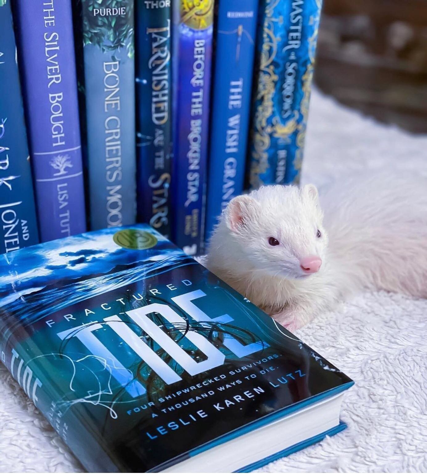 The folks @kayepublicity did such a cool shot of FRACTURED TIDE with this little furry guy. I hereby name him Ferret Bueller.