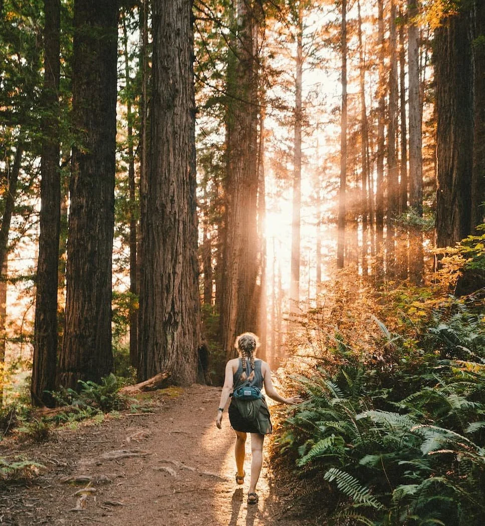 A person walking alone on a wooded trail as sunlight filters through tall trees, creating long shadows across the path.