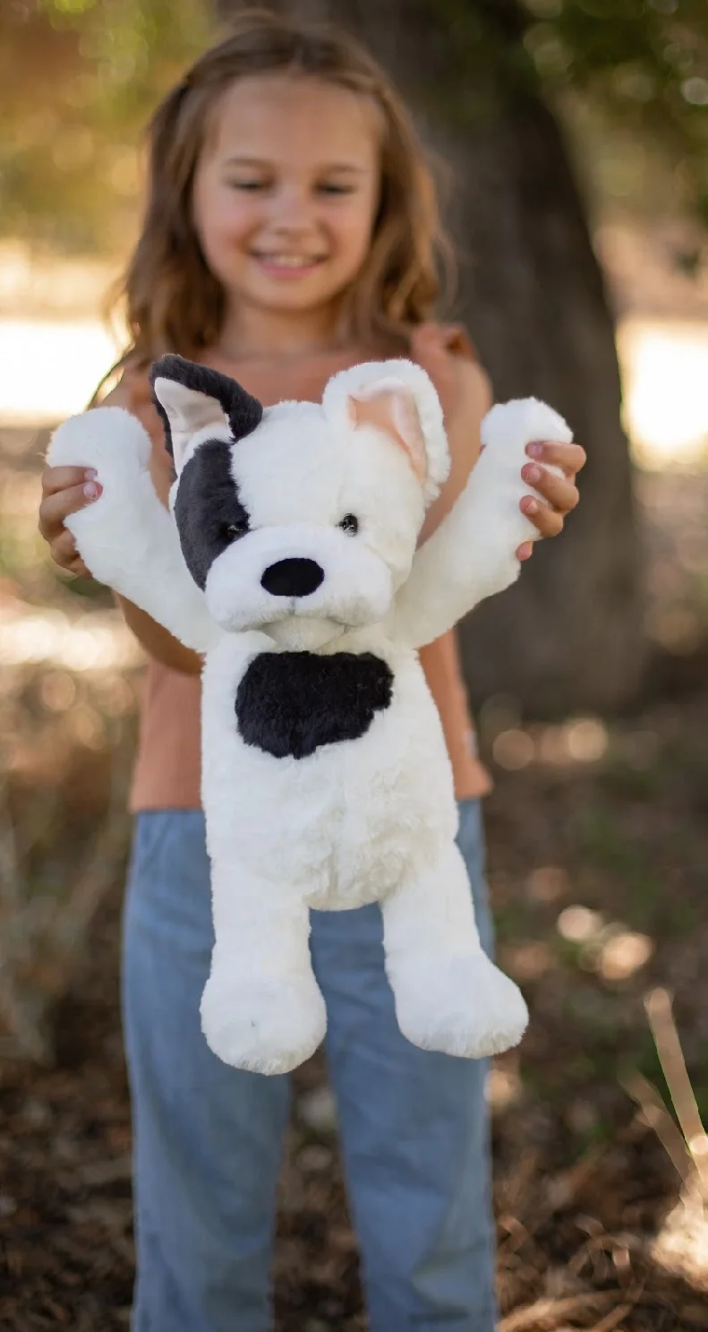 dog2.webp