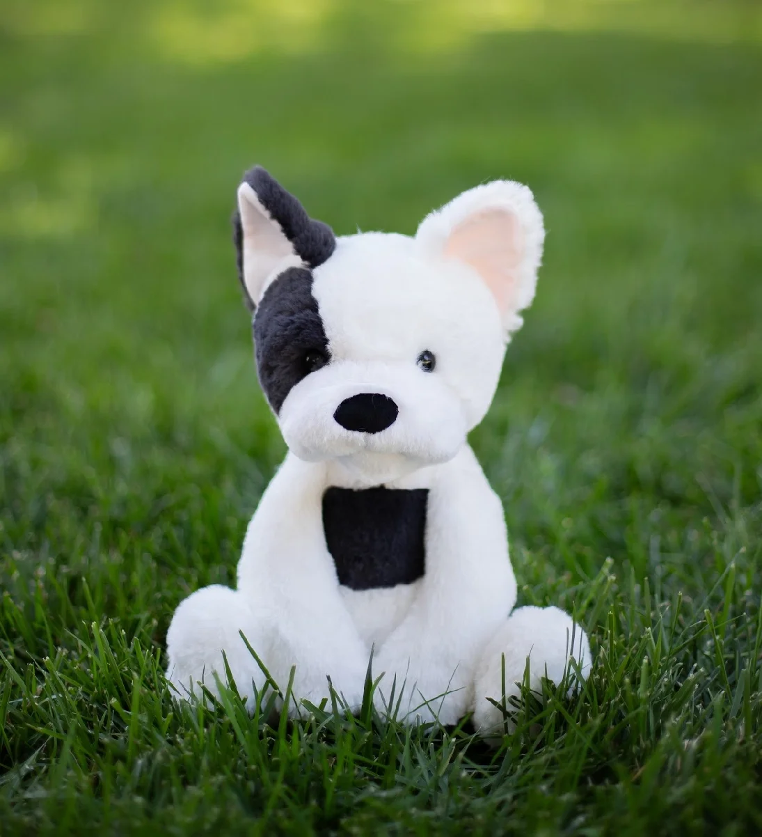 dog4.webp