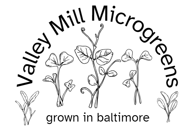 Valley Mill Microgreens