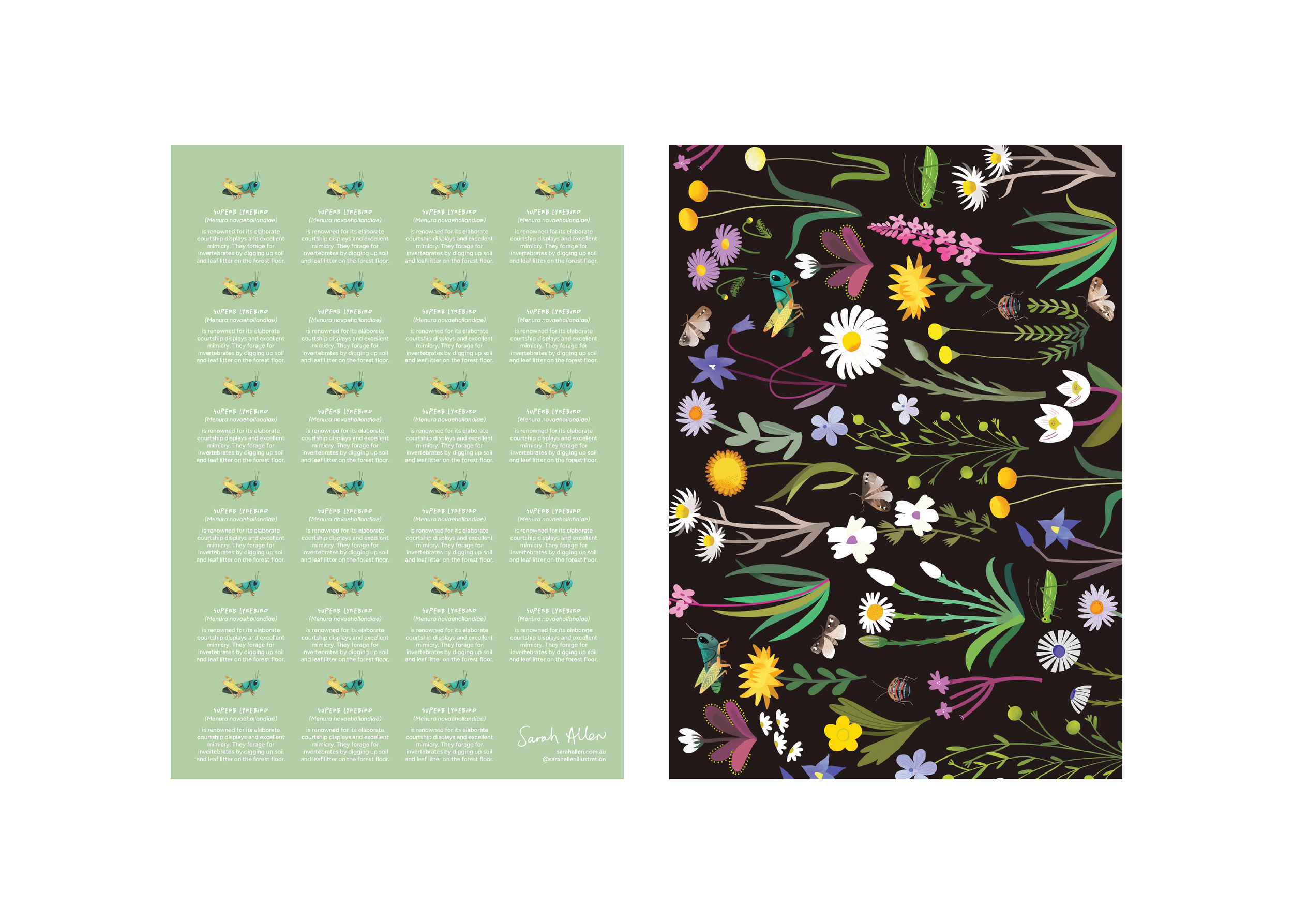 Soft Launch-Design-Puzzles-Packaging-Branding-Sarah Allen-02.png