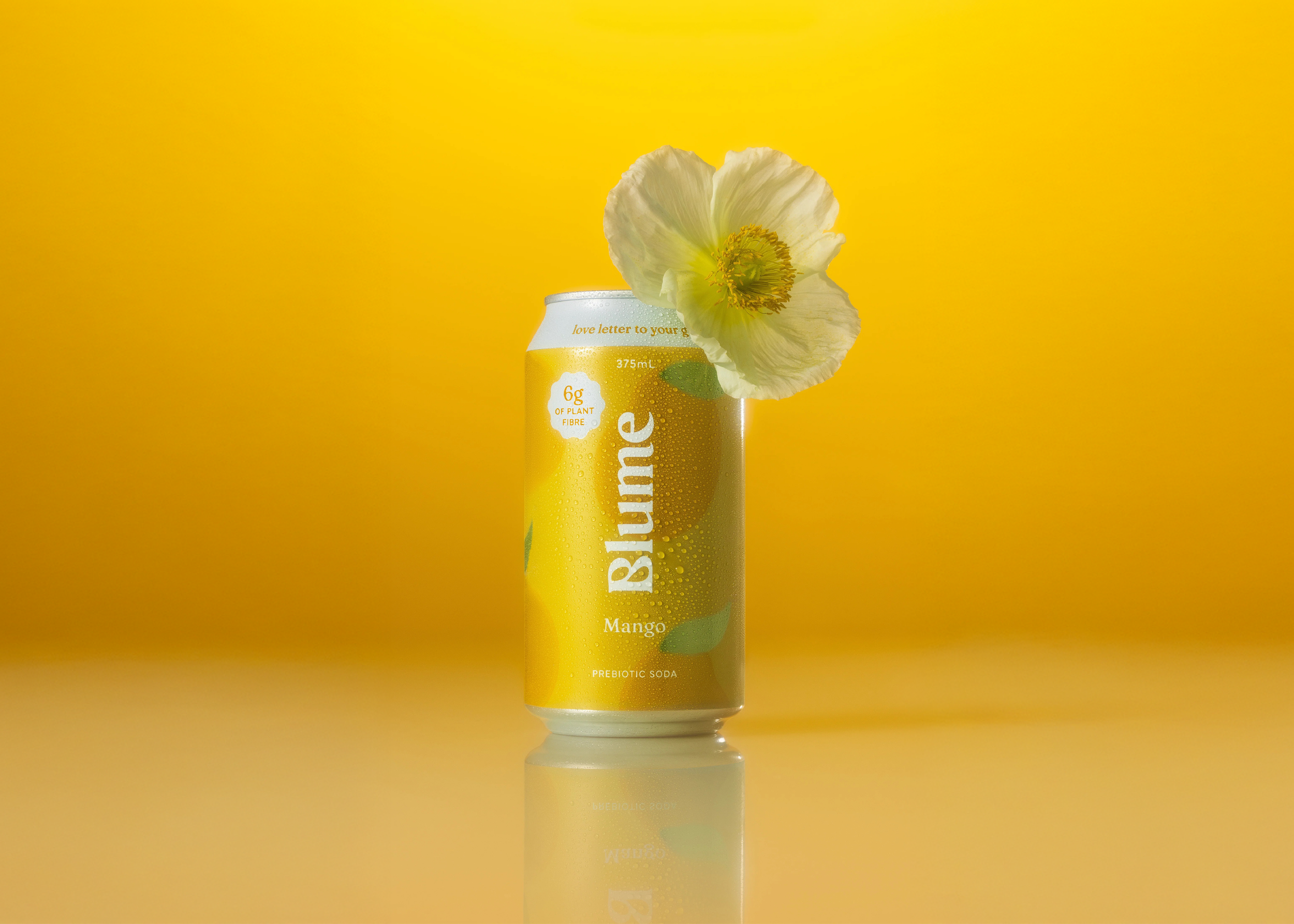 Soft Launch-Website-Blume_Artboard 2-02.png