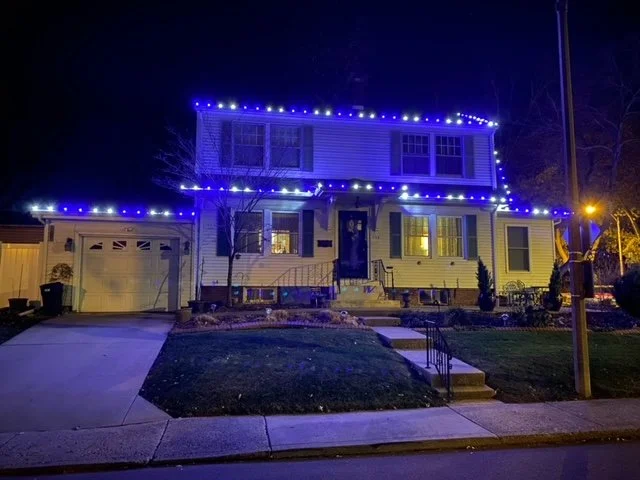 Pure White and Blue Double Bulb Pattern