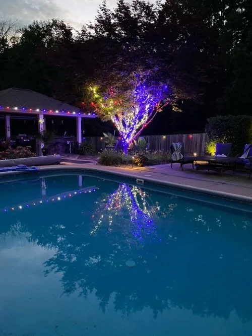 Red, Warm White, and Blue with Tree Wrap