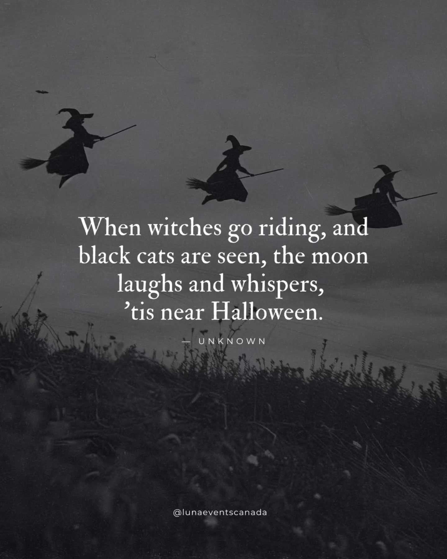 'Tis Near Halloween 🎃 Only 15 days to go!

Celebrate the season of the witch with us at our Wicked Witches Halloween Markets in Mississauga and Guelph - one stop shops for all things witchy and hauntingly beautiful, while supporting local makers and