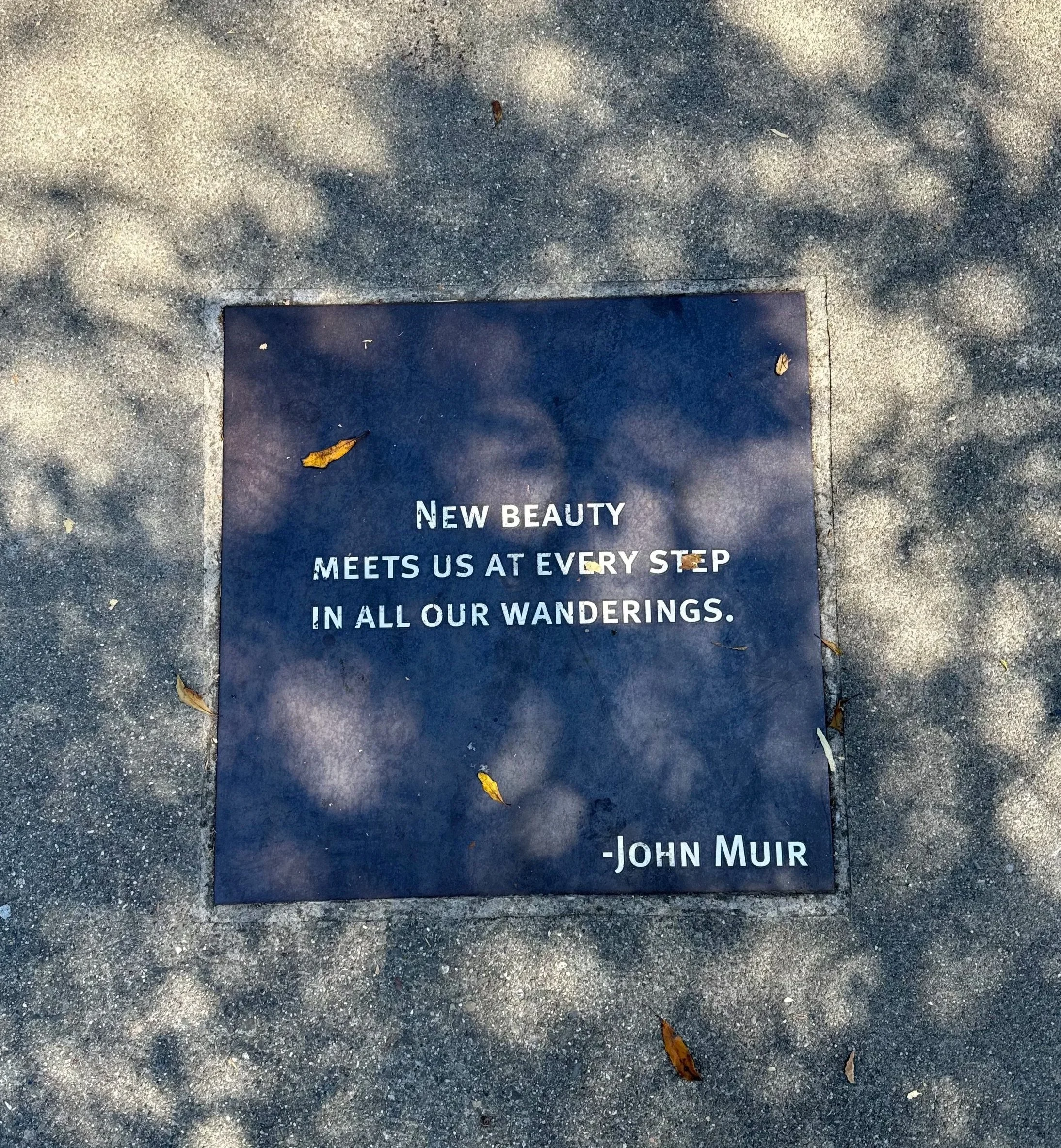 Inspiration at the school's entrance