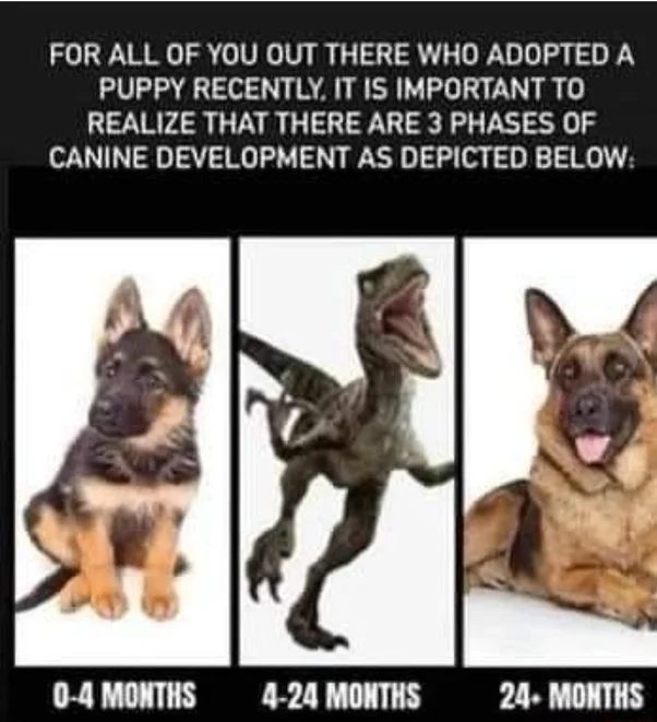 main-qimg-befeb0e4c3615aabe8ea7d23181c52ed-pjlq.jfif