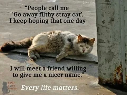 main-qimg-d190b0a1db9c43e76c909a0b8ea290b1-pjlq.jfif