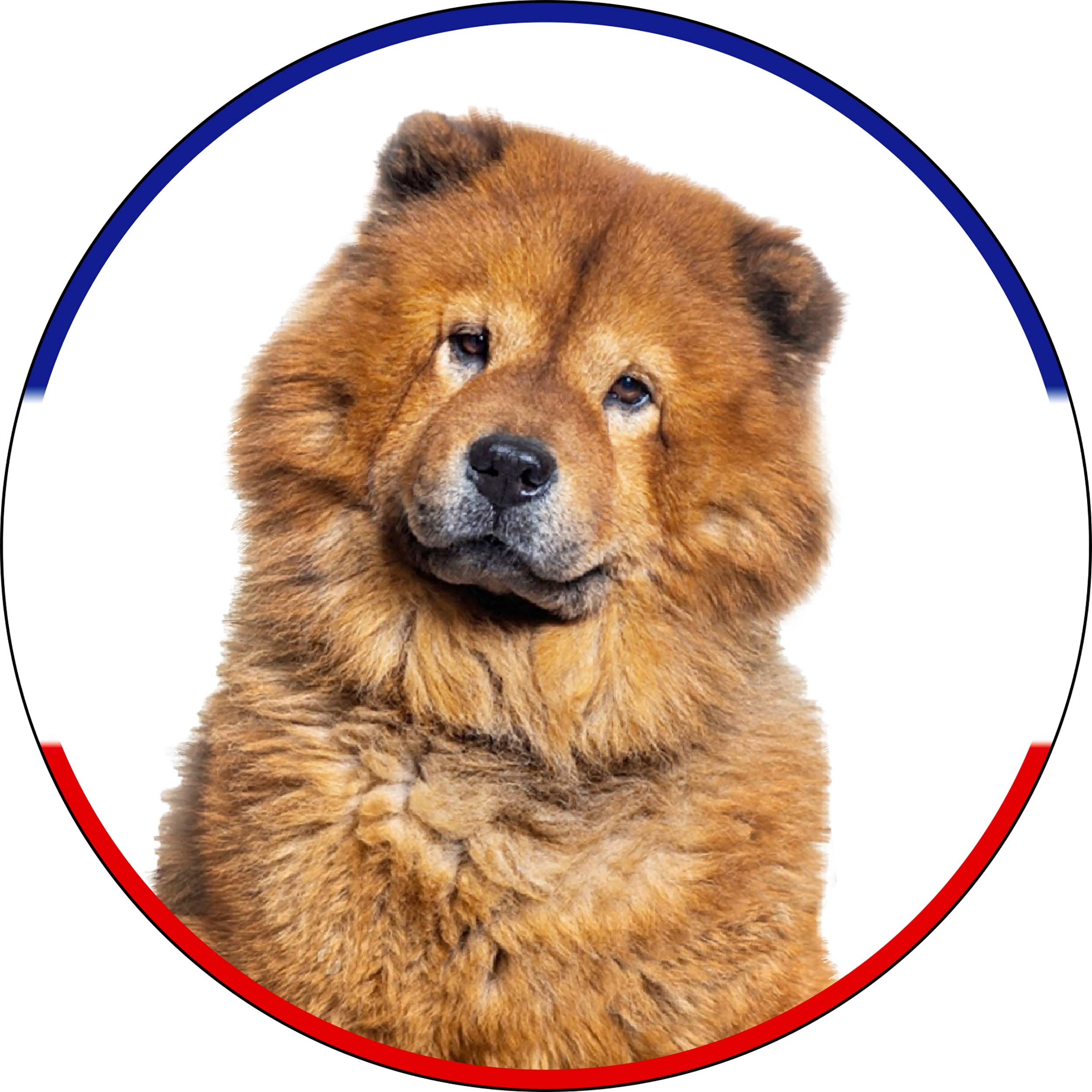 chow-red.jpg