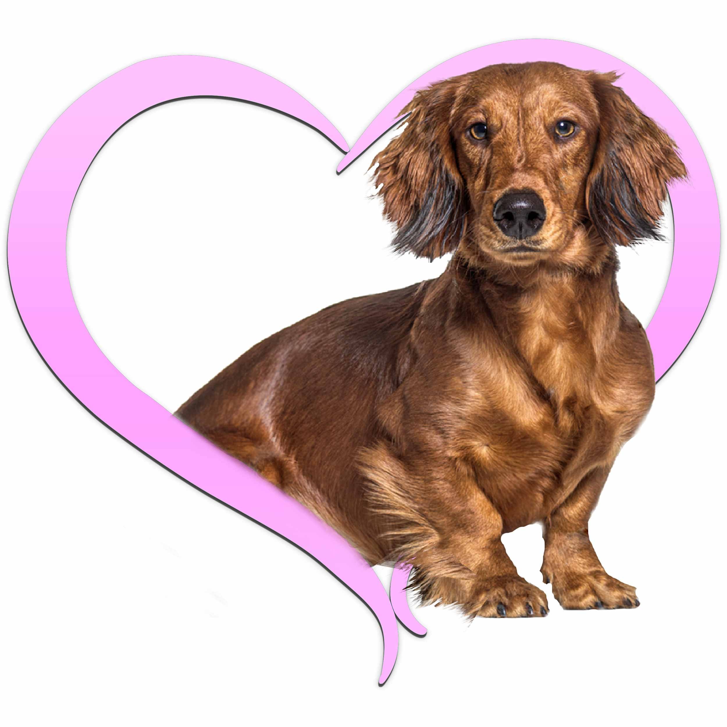 dach-red-long-pink.jpg