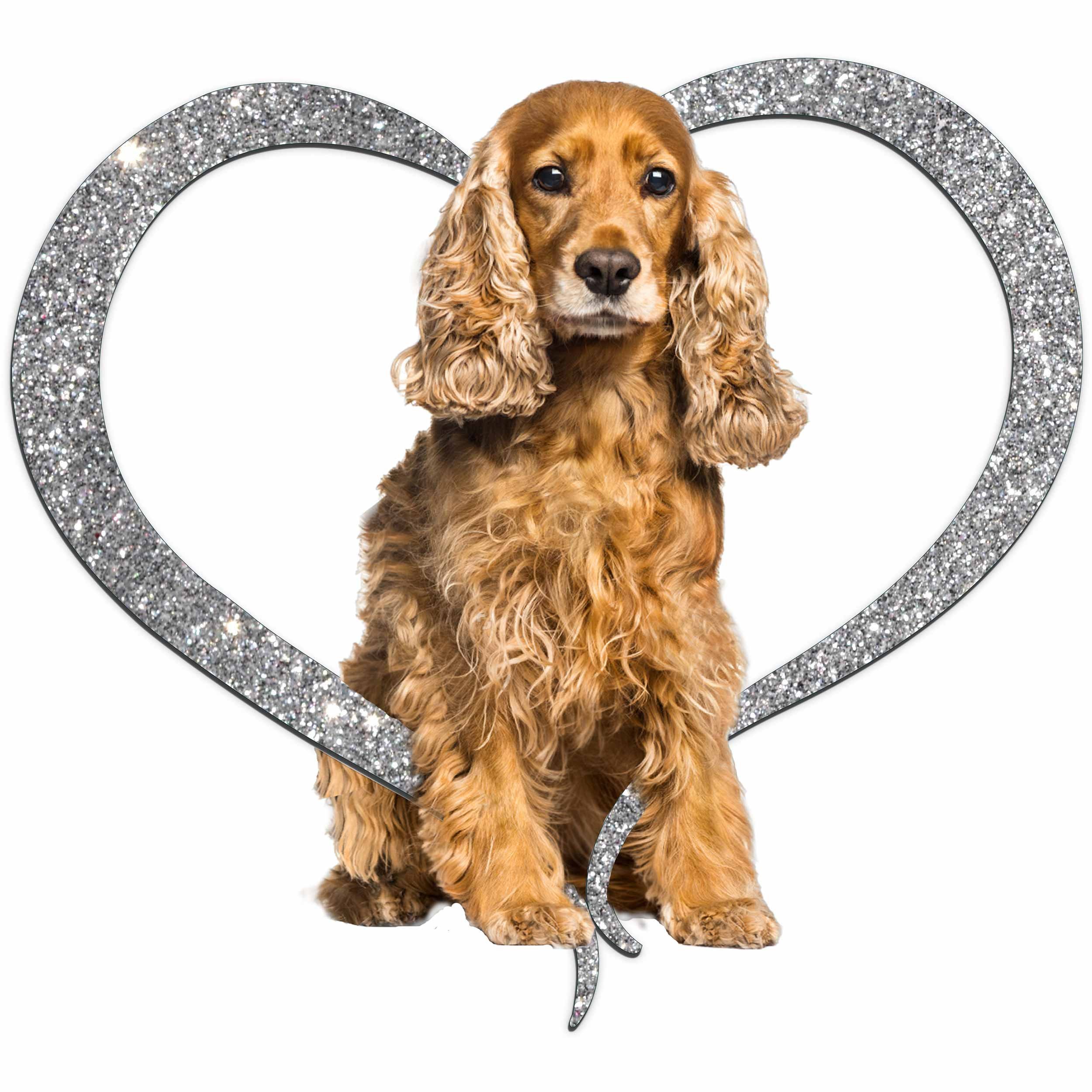 cocker-spanial-red-silver.jpg