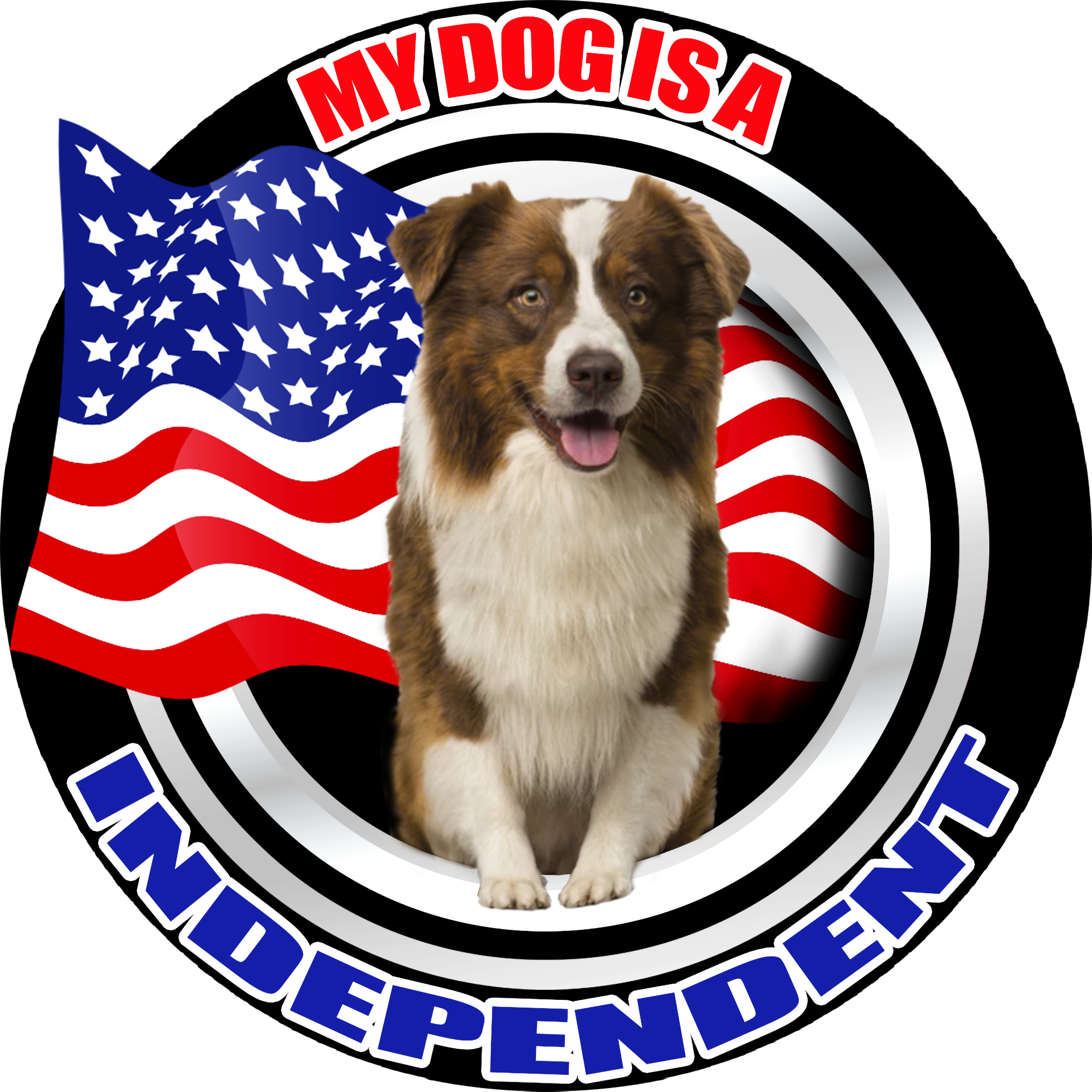 border-Collie-brown-spotted-ind.png