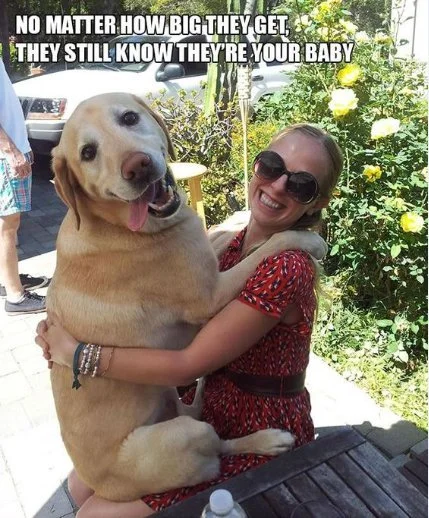 main-qimg-6c2458c6f699f164c1c49d722d844223-pjlq.jfif