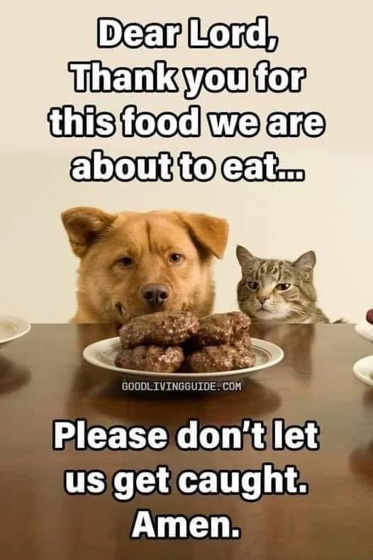 main-qimg-ff004aafe270370b077b75430a860d86-pjlq.jfif