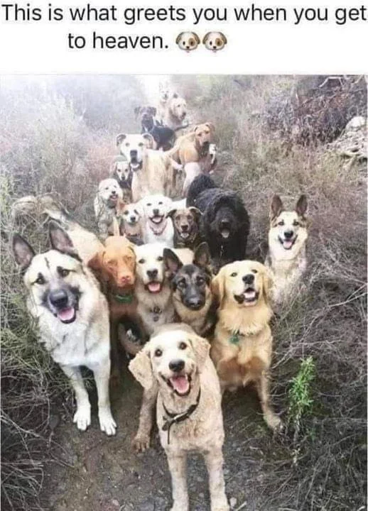 what greets you in heaven.jfif