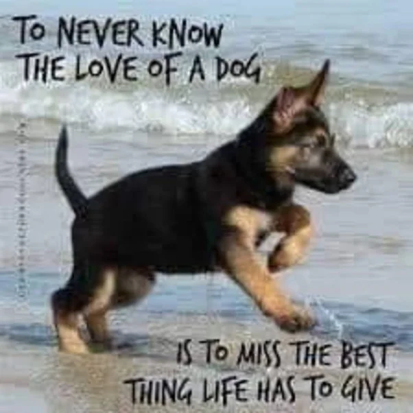 main-qimg-5e673d2c74e5364b6953629a9cd8fc98-lq.jfif