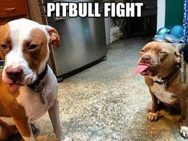 main-qimg-d8ba718b8efa5a16da81abde4ee9397e-lq.jfif