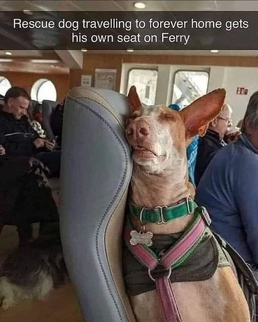 main-qimg-1eaa000304ddacfe3f95908047615170-pjlq.jfif