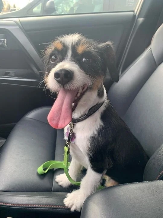 main-qimg-d4e721a64e99d19f8379361f34c47e5a-lq.jfif