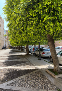 Shops in Scicca