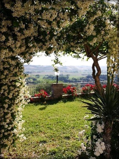 Jasmine-filled arbors