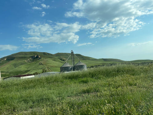 Sicilian Farmland