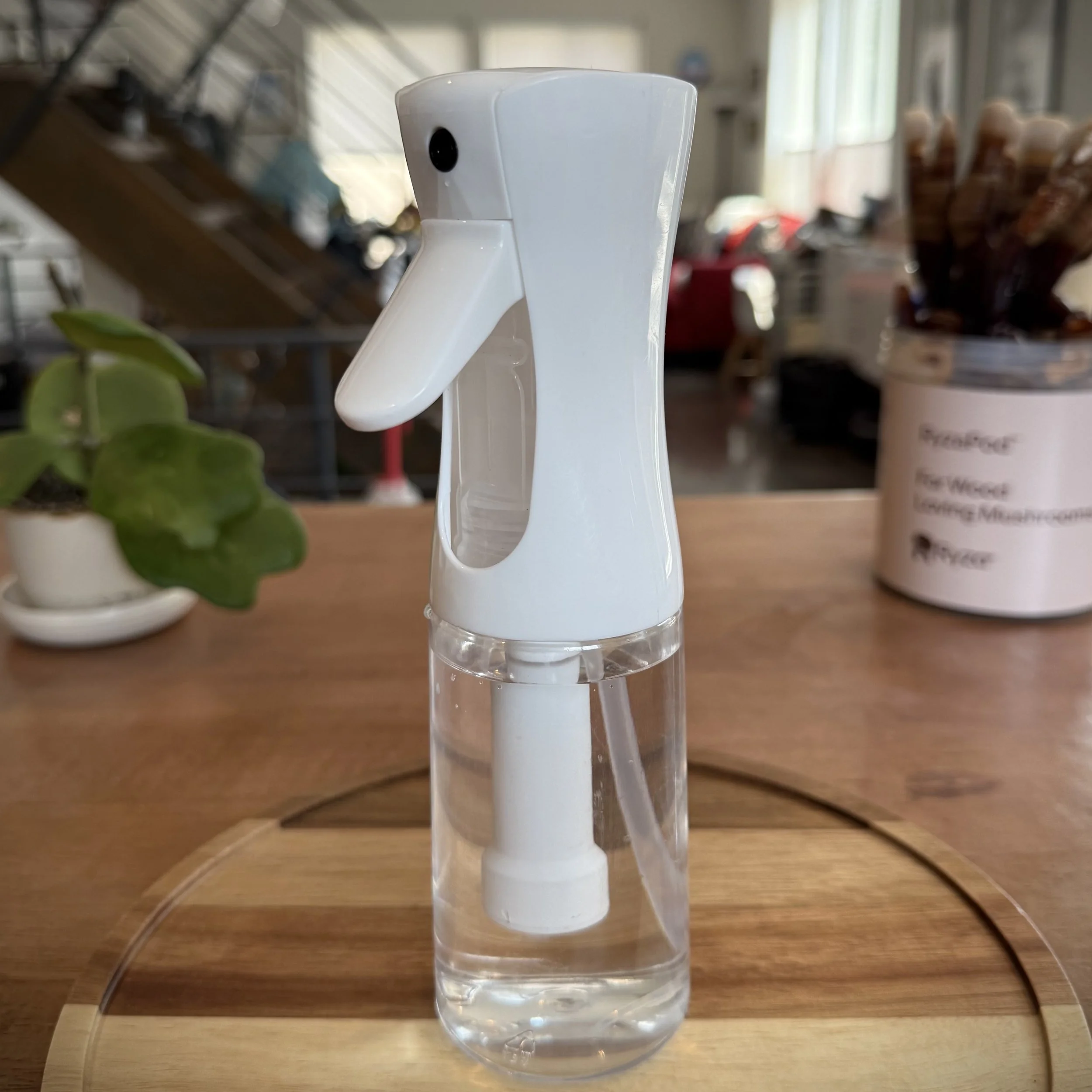 spray-mister-mushrooms.jpg