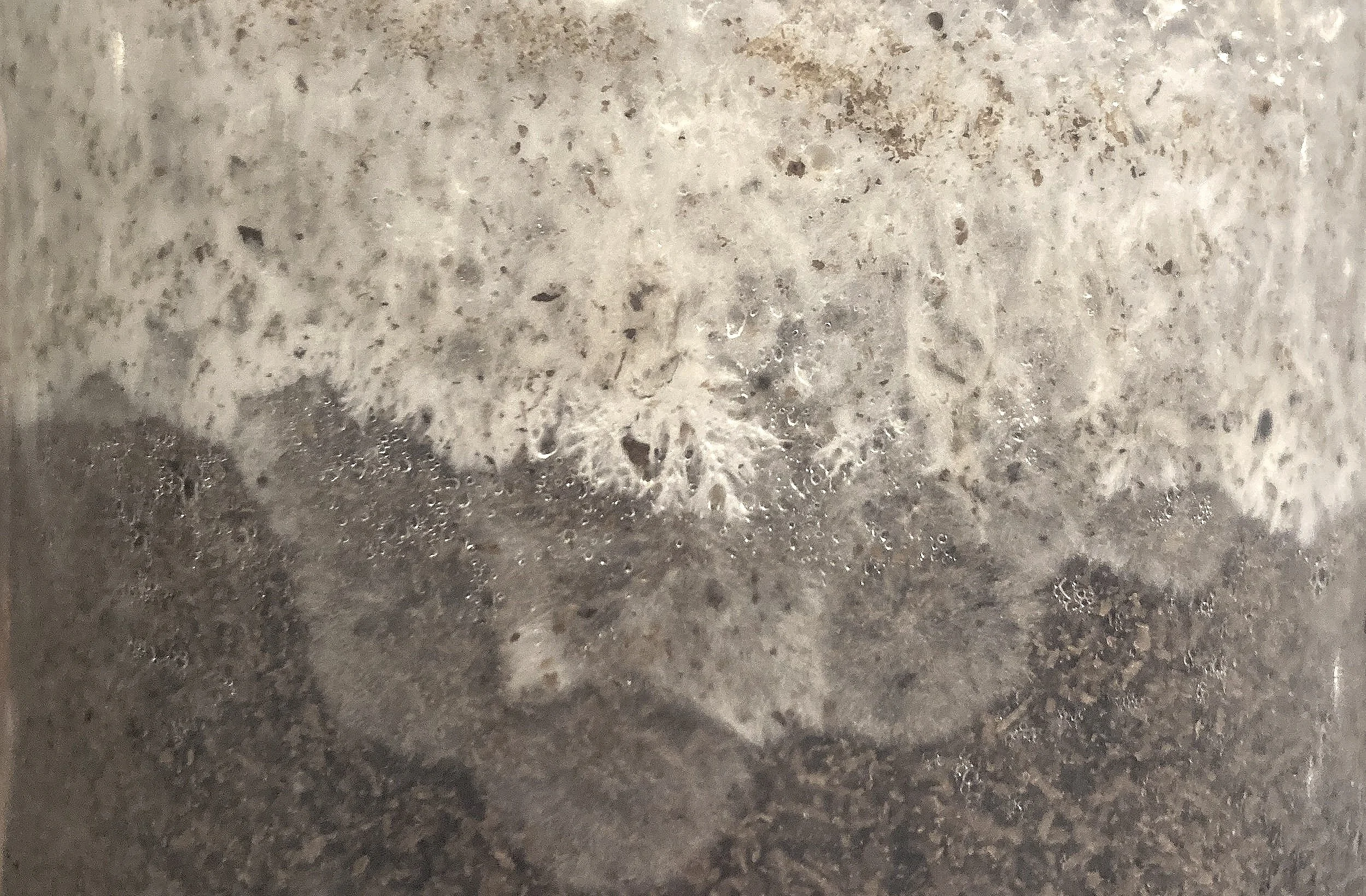 Cobweb Mold in Your Mushrooms? Likely Not. — Ryza