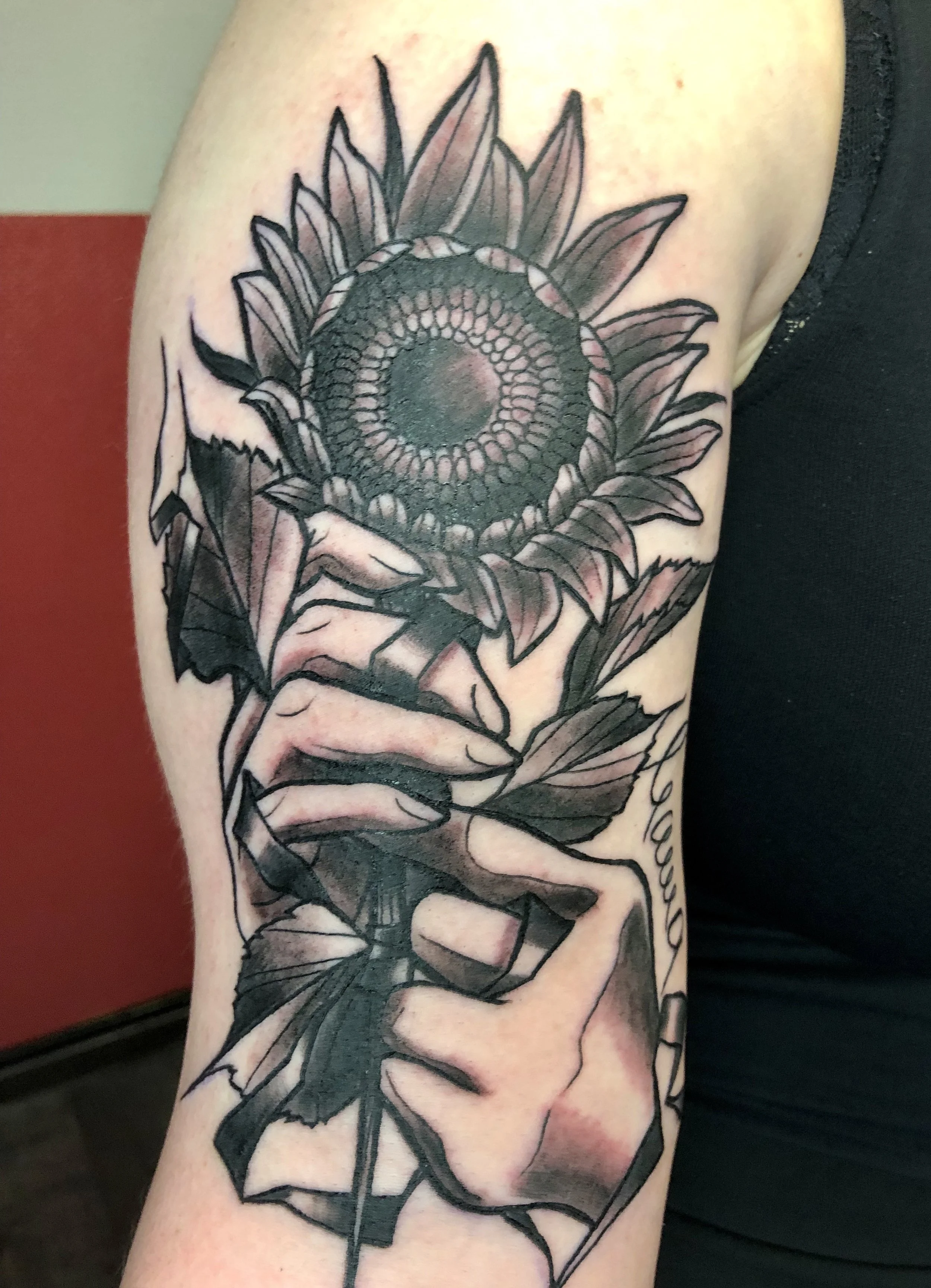 image_6487327 (3).JPG