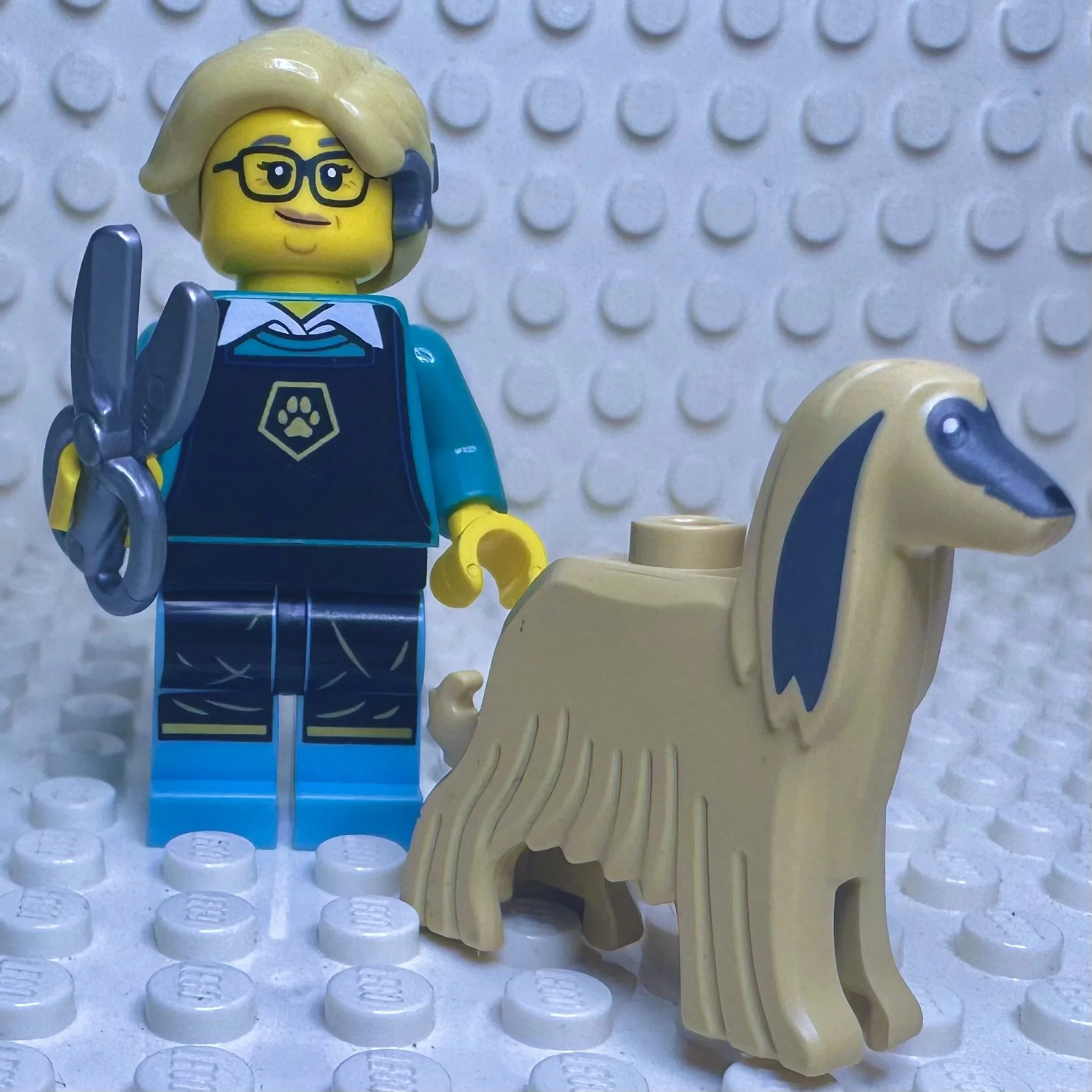 BuffaLUG Dives into the Fun: LEGO Collectible Minifigure Series 25 Review. IMG 0366